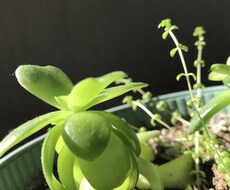 心が疲れたり、話を聴いてほしい方にオススメします イメージ1