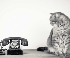 私でよければお悩み相談のります 少しだけでも大丈夫◎お悩みなんでも聴きます^^