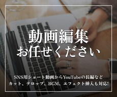 SNS用の動画編集作業します イメージ1