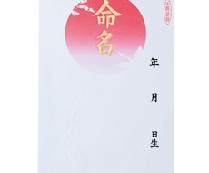 書家が命名を書きます イメージ1
