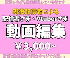 現役配信者がYouTube動画編集します イメージ1