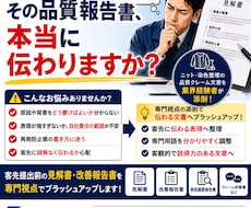 見解書、クレーム報告書の添削をします イメージ1