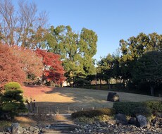 なんでも話し相手になります イメージ1