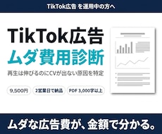 現役運用者がTikTok広告を診断します 「素材が当たらない」を数値で解明。CSVを送るだけで診断