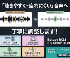 配信などの音声をノイズ除去・整音で聴きやすくします イメージ1