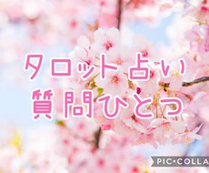 タロット占い  ひとつの質問にお答えします イメージ1