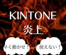 kintoneのアプリ開発・運用他支援します 困っている点を教えてください！解決に導きます
