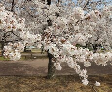 1ヶ月お話相手になります イメージ1