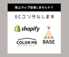 ECサイトの相談なんでも乗ります 現役IT企業勤務のコンサルタントがあなたの仕事をサポート
