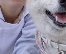 犬・猫の相談や質問に答えます イメージ1