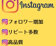 インスタグラムのフォロワーを2000人増やします イメージ1