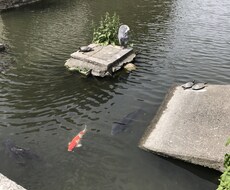 溜まってること発散してみませんか？お話聞きます イメージ1