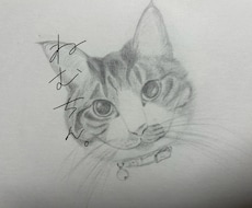 鉛筆で動物の似顔絵を描きます イメージ1