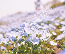 学生の知識やアイデアを提供します イメージ1