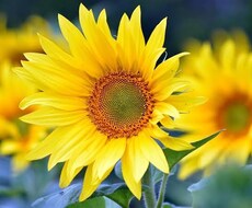 恋愛に専門❤️霊感霊視で占います イメージ1