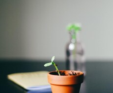 子育て世代のキャリア相談にのります イメージ1