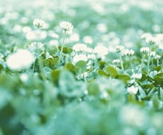 悩みに寄り添い解決のお手伝いをさせていただきます イメージ1