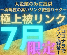 2025年7月限定で大企業と同じ被リンクを貼ります なぜ成功している大企業と御社で結果に差が付くの？答えは○○！