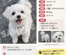 迷子ペットの捜索ポスター作ります イメージ1