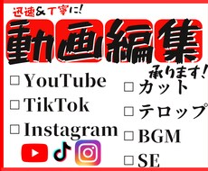 FCPXライブラリ納品可‼︎動画編集承ります イメージ1
