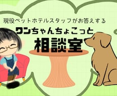わんちゃんとの生活のお悩みの相談にのります 現役ペットホテルスタッフと話しませんか？