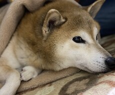 あなたのお悩み、日頃思ってることを聞きます イメージ1