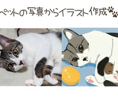 最短即日！写真から犬、猫などのイラストを描きます イメージ1