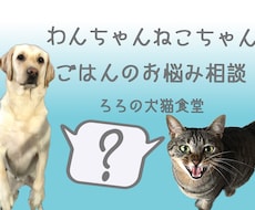 わんちゃんねこちゃんのごはんの相談を受け付けます イメージ1