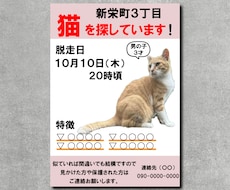 迷い猫・迷い犬の捜索チラシ制作します イメージ1