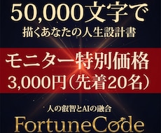 人生設計図50000文字以上で占います イメージ1