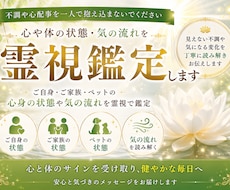 心や体の状態・気の流れを霊視鑑定します ご自身やご家族・ペットの心身の状態や気の流れを霊視します