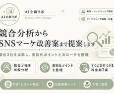 競合分析からSNSマーケ改善案まで提案します イメージ1