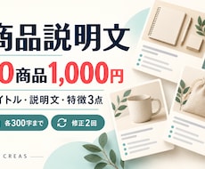 ECの商品説明文10商品をまとめて作ります 10商品1,000円｜タイトル・特徴3点・修正2回