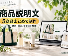 ネットショップの商品説明文を5点作ります イメージ1