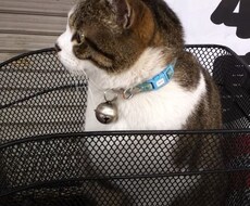 風神は今を生きます イメージ1