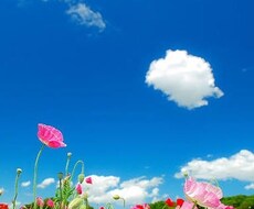 元ホストが挫折からの立ち直り方アドバイスします イメージ1