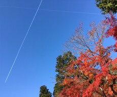 東京周辺の写真を撮影代行いたします イメージ1