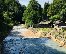 旅行観光業界についてのご相談をお待ちしております イメージ1
