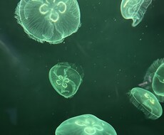 愚痴，悩みなんでも伺います イメージ1