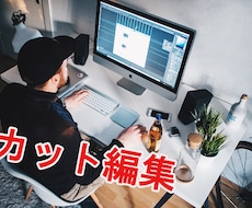 カット編集おこないます イメージ1