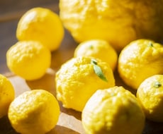 あなたの本当の強みを教えます イメージ1
