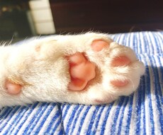 LINE感覚で2日間悩み･愚痴聞きます イメージ1