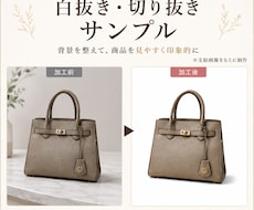 EC商品画像1枚を白抜き加工します イメージ1