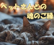 貴方とペットさんとの魂のご縁を読みき解きます なぜ私のところに来てくれたの？今共に暮らす子も虹の橋組さんも