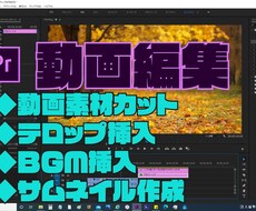 格安で動画編集致します イメージ1