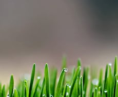 ひとこと鑑定▶気になる事へアドバイスを致します 【1回500円】▶200文字以内でライトにお届けします⭕️
