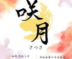命名書♡手書きの筆文字で命名書作成いたします イメージ1