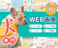 犬専門！サービスの魅力が伝わるデザインを創ります 犬業界に特化したデザインを制作します！