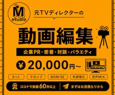 プロの動画編集承ります 元テレビマンが高品質動画制作します！