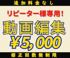 注【リピーター様専用】動画編集承ります Premiere Pro/基本編集/字幕挿入他